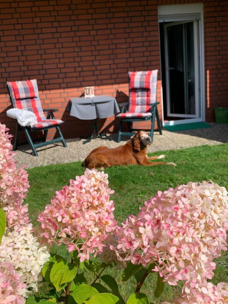 terrasse fewo braunlage helga klein